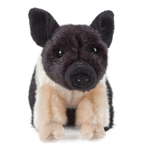 Plush toy pig with black, white, and brown fur on a white background