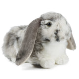 Living Nature Dutch Lop Rabbit ESSA Plushie