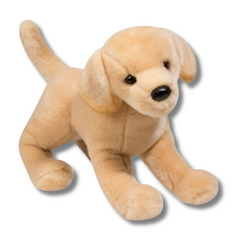 Mandy Yellow Lab | Douglas Dog