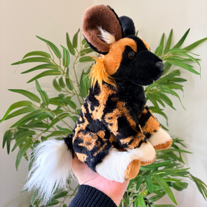 A plush African wild dog hand puppet being held up by a hand in front of a green plant. The puppet features a black and orange spotted fur pattern, a white tail, and large floppy ears.