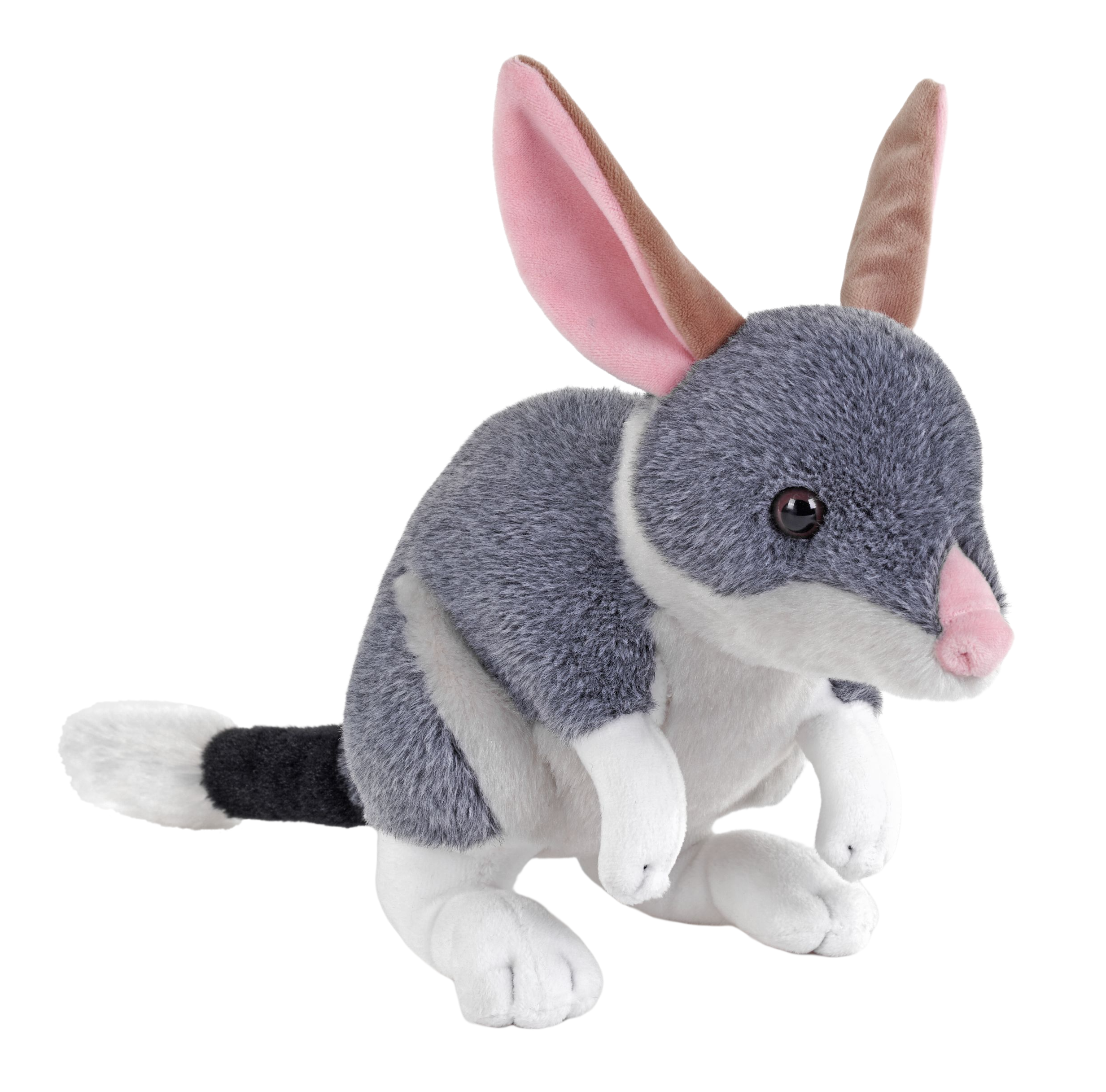 Plush toy of a bilby on a white background