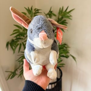A plush rabbit toy being held up by a hand, with a green potted plant in the background. The rabbit has gray and white fur, a pink nose, and tan ears, with a red tag attached.
