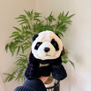 A small plush panda toy being held up by a person's hand in front of a potted green plant against a light wall.