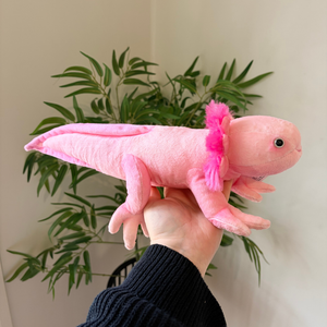 A pink plush axolotl toy being held in a person's hand, with a green potted plant and beige wall in the background.