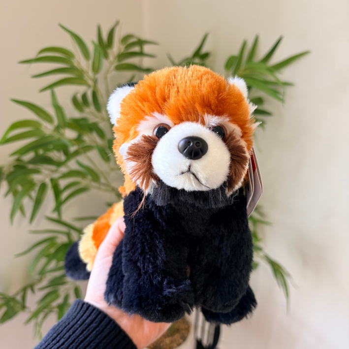 A small red panda plush toy being held up by a person's hand, with green plant leaves and a light beige wall in the background.