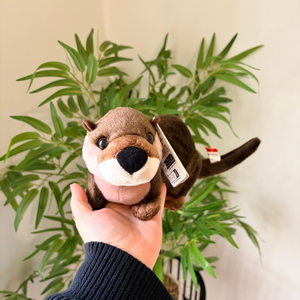 A plush otter toy being held in a person's hand in front of a green potted plant against a light beige wall.