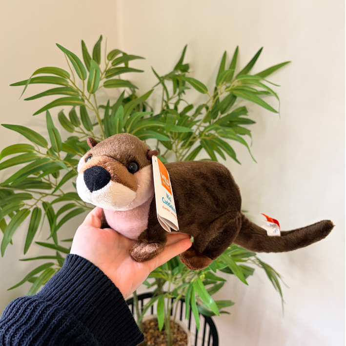 A plush otter toy being held up by a person's hand in front of a potted green plant. The otter has brown fur, a cream muzzle, a pink belly, and a black nose, with a visible tag that reads Otterland.