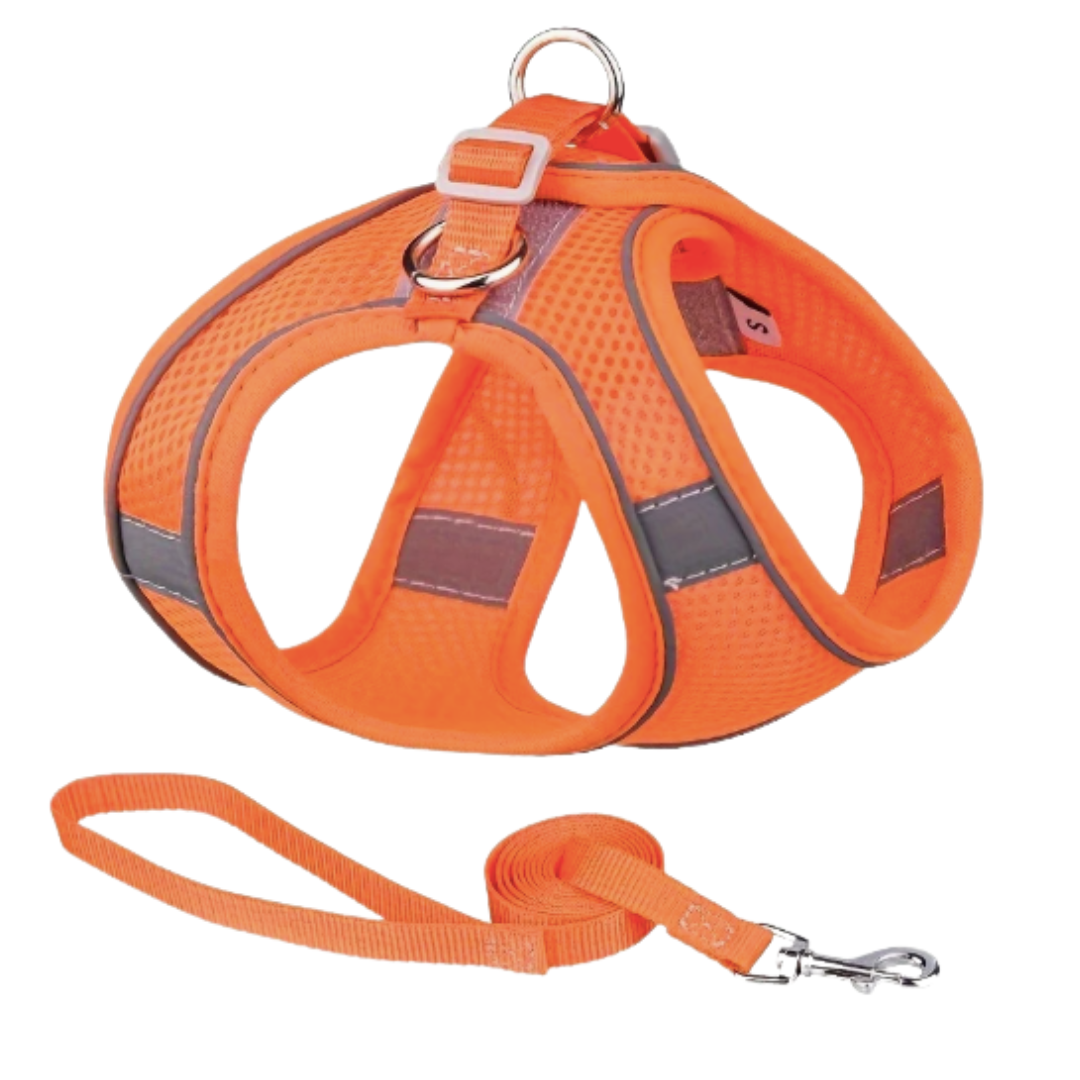 Orange pet harness and leash ESSA gear