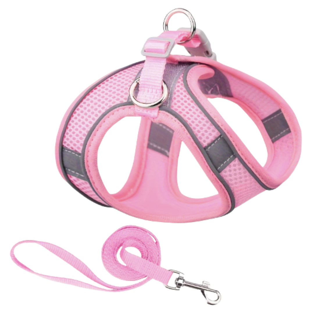 Pink Pet Harness and Leash