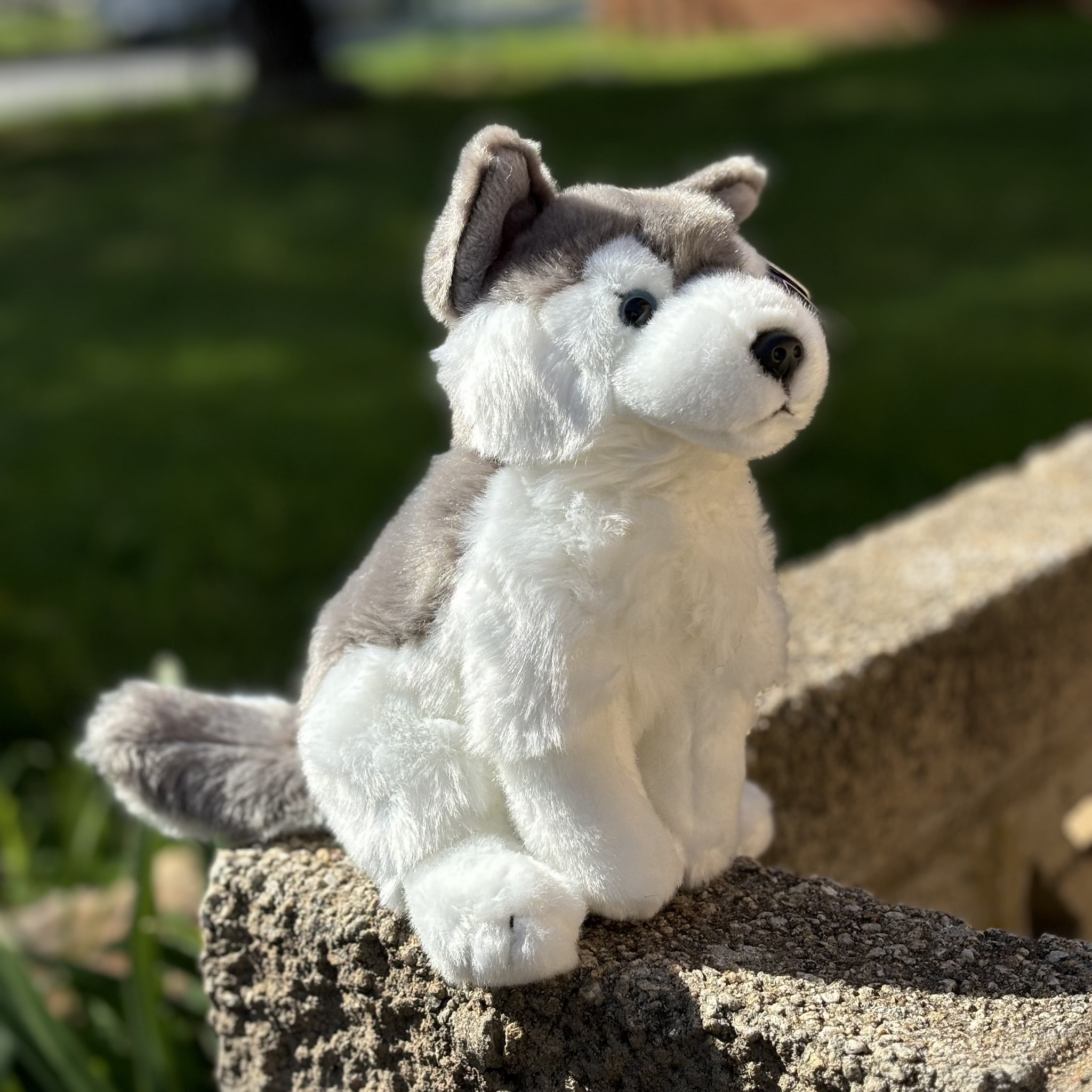 Husky Plushie Emotional Support Stuffed Animal Living Nature