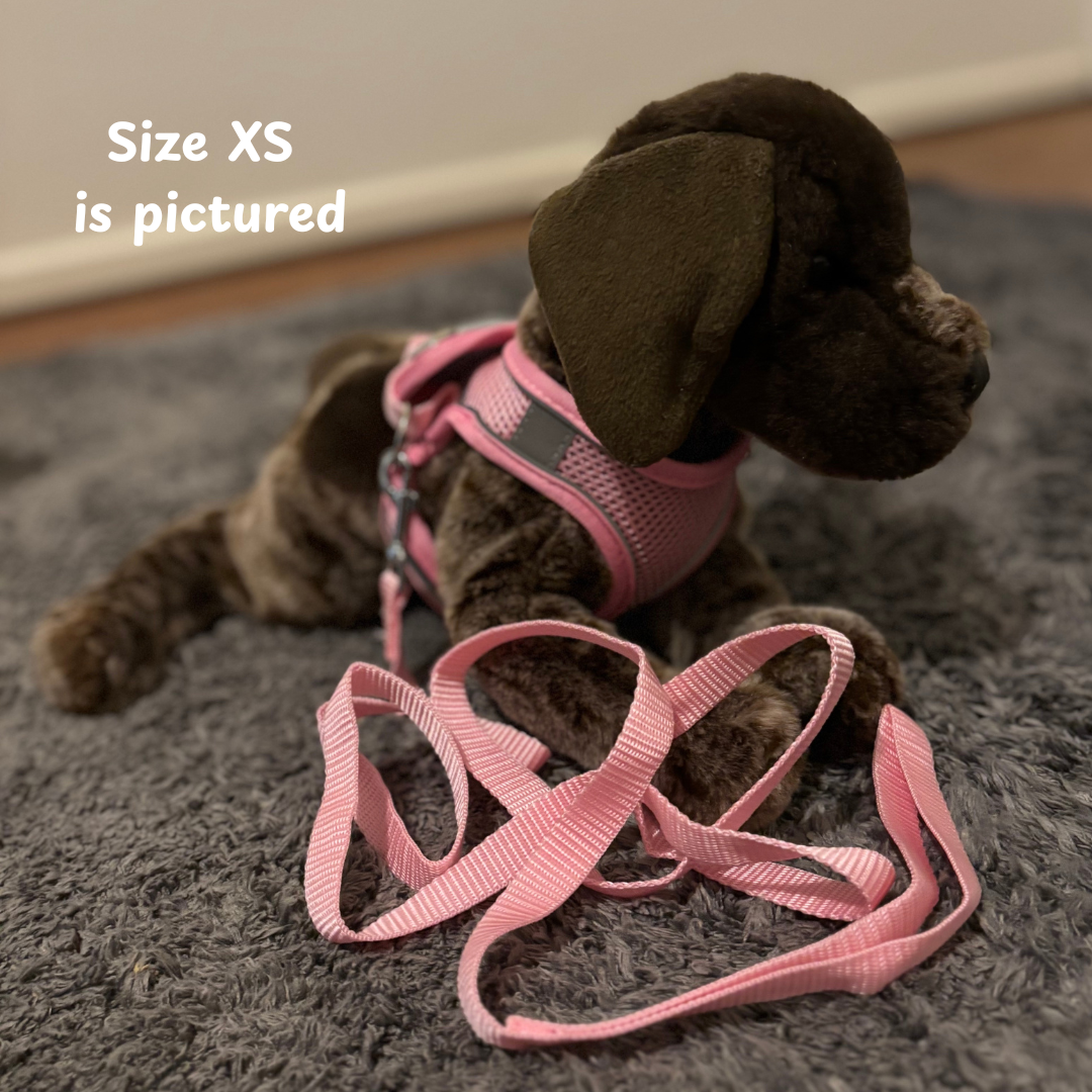 Plush dog wearing a pink harness and leash. ESSA gear