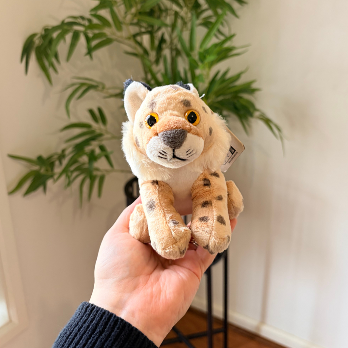 A small plush toy tiger held in a person's hand, with a green potted plant and a light-colored wall in the background.