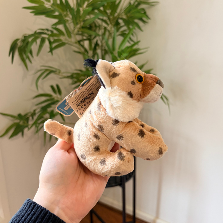 A small plush toy animal with tan fur, dark brown spots, and a white muzzle is being held in a person's hand indoors. The toy has a hangtag attached and is photographed against a light wall with a green plant in the background.