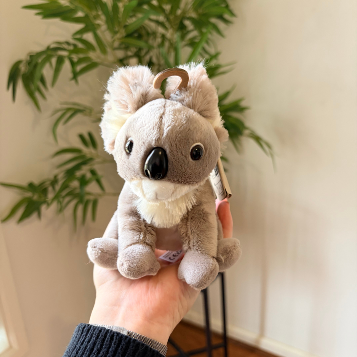 A small plush koala keychain being held in a person's hand, with a green plant and cream-colored wall in the background.