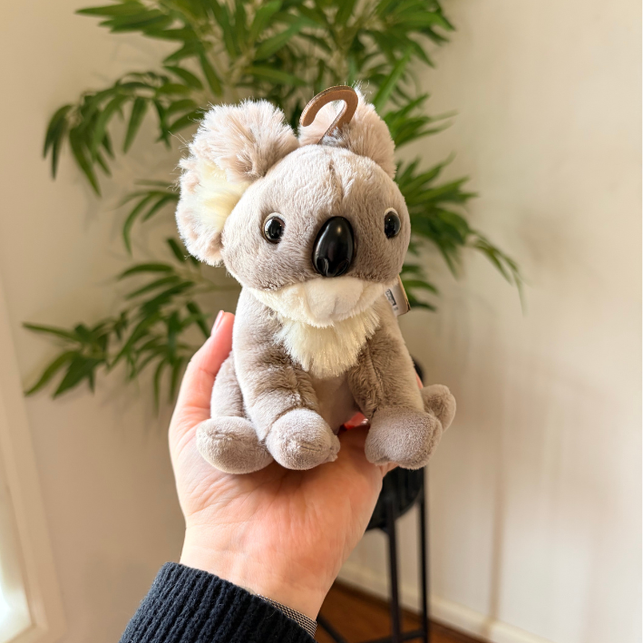 A small plush koala toy held in a person's hand, with a green potted plant and cream-colored wall in the background.