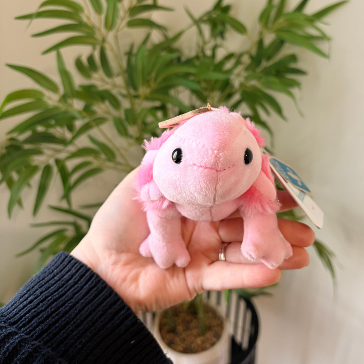 A small pink plush axolotl toy being held in a person's hand, with a green potted plant in the background.