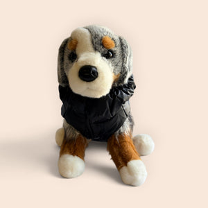 A plush Bernese mountain dog toy wearing a black puffer jacket, set against a solid pale peach background.
