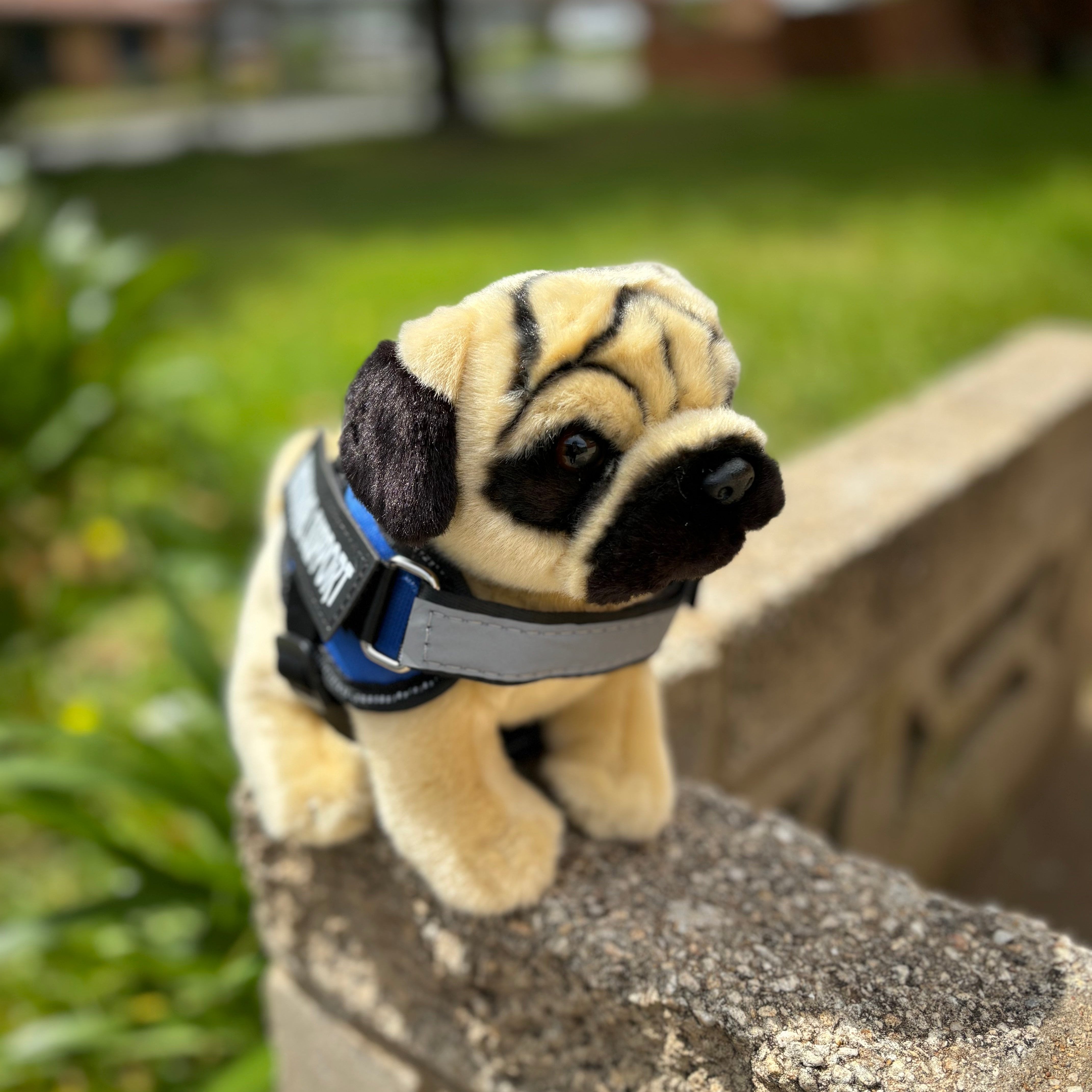 Emotional Support Stuffed Animal - ESSA - Living Nature - Pug Dog - essa gear