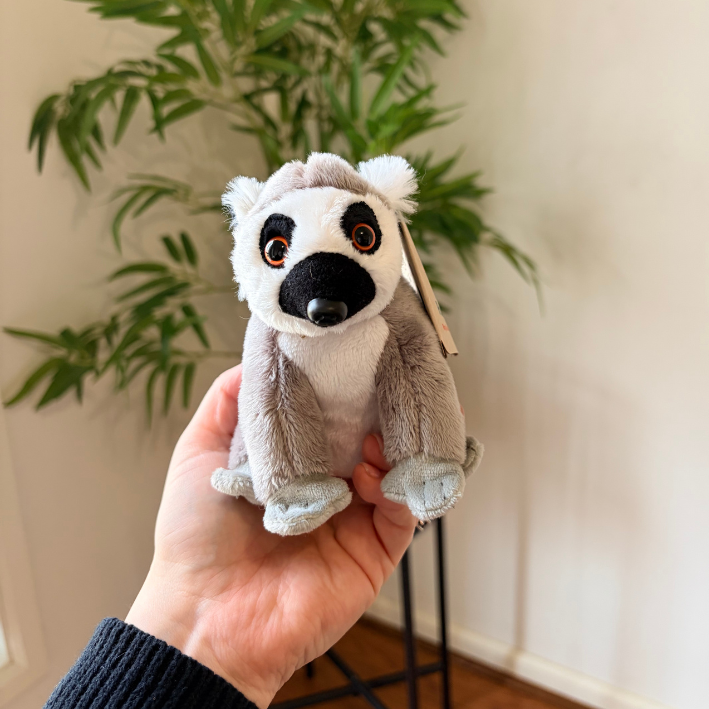 A small plush lemur toy being held in a person's hand, with a green potted plant and cream-colored wall in the background.