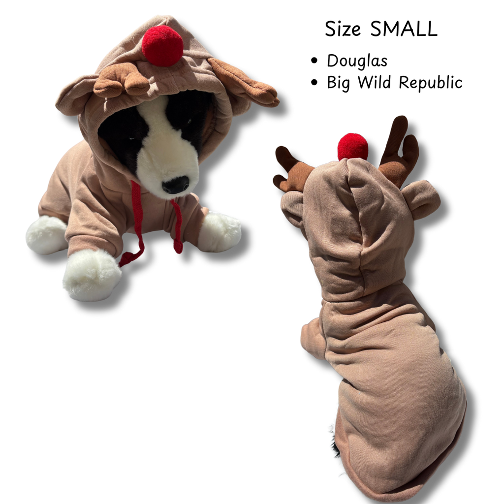 Small reindeer plush toy with red nose, labeled 'Size Small' and 'Douglas Big Wild Republic'.