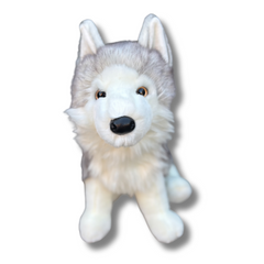 Shadow White Wolf | Douglas Dog