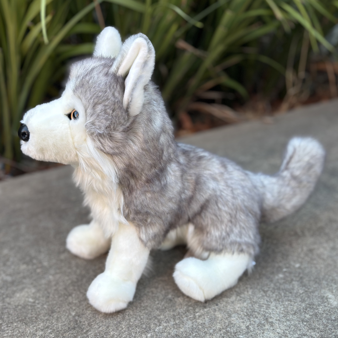 Shadow White Wolf by Douglas Dogs sitting in front of green bushes side view