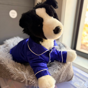Stuffed dog toy wearing a blue outfit on a fluffy cushion by a window.