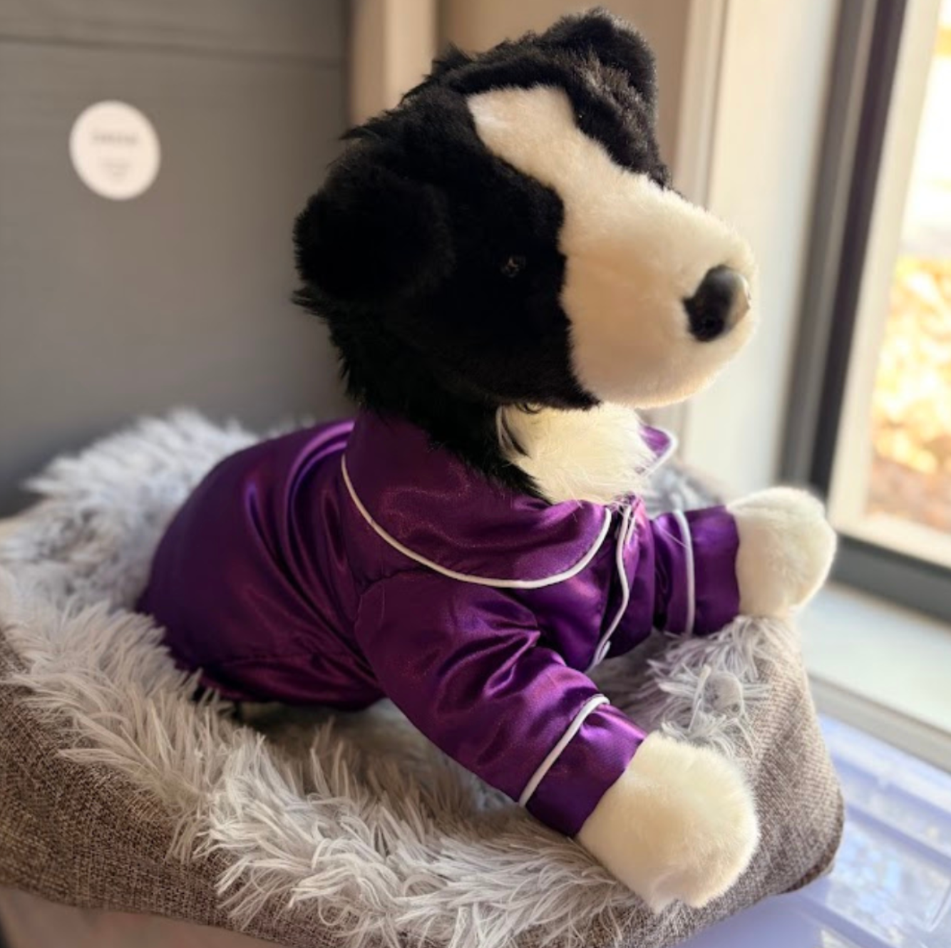 A black and white plush dog wearing a shiny purple pajama top with white piping, sitting on a gray and white shaggy pet bed near a window.