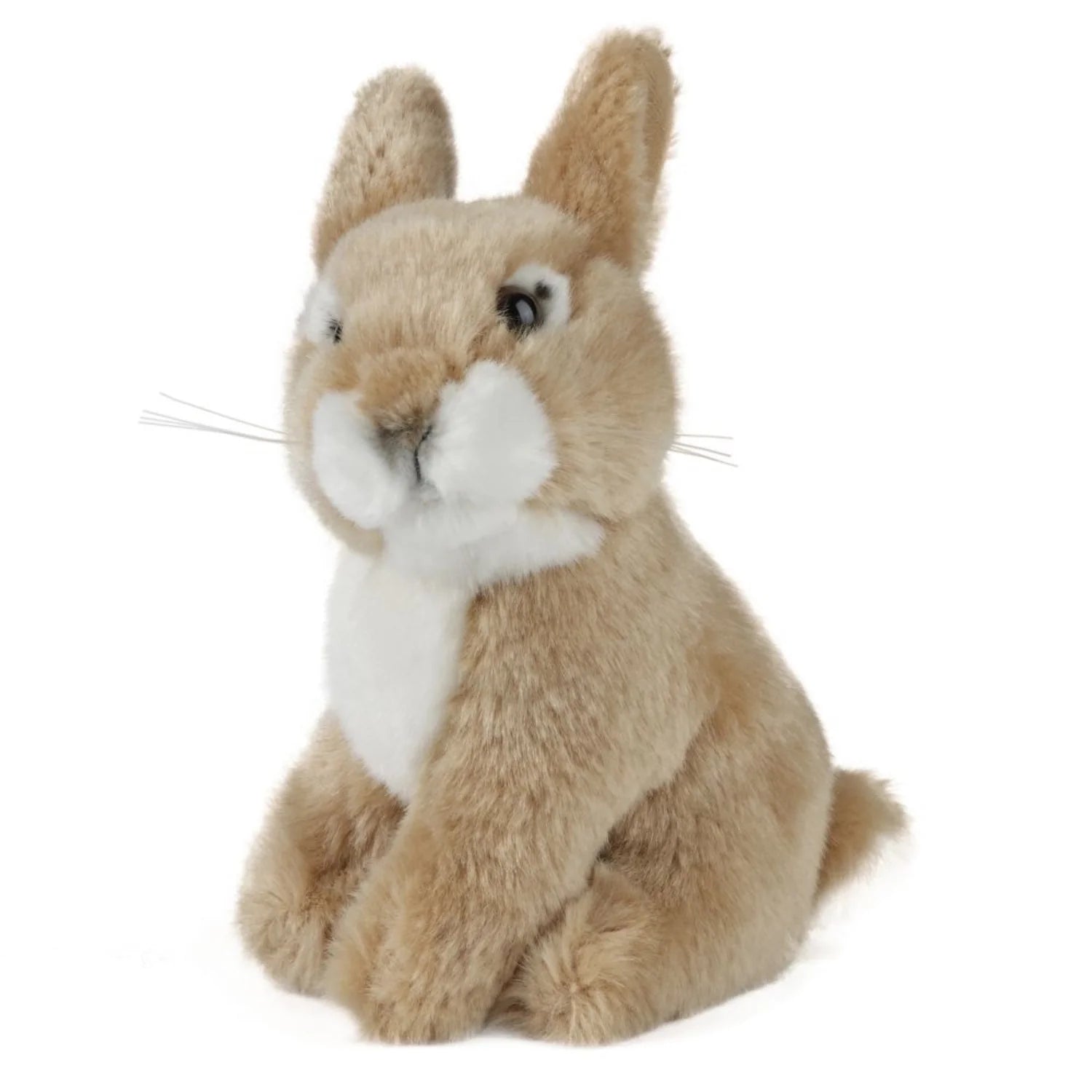 Plush squirrel toy on a white background