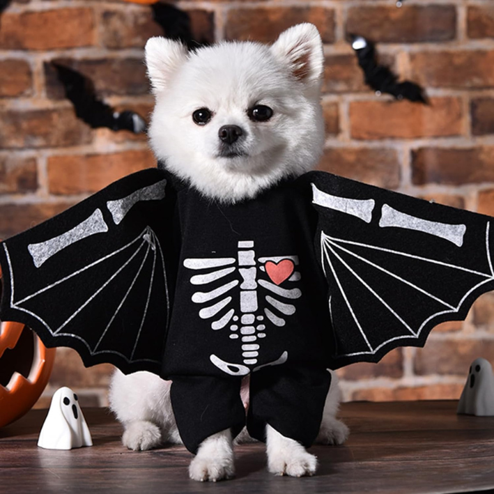 A small white dog wearing a black Halloween bat costume with wings and a white skeleton print with a red heart on the chest, standing on a wooden surface against a brick wall background.