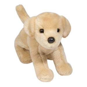 Plush toy dog on a white background