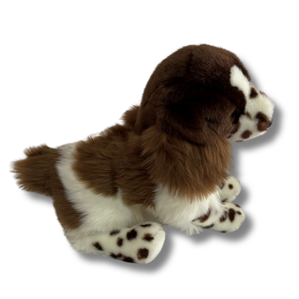 Springer Spaniel Bass Pro  side view