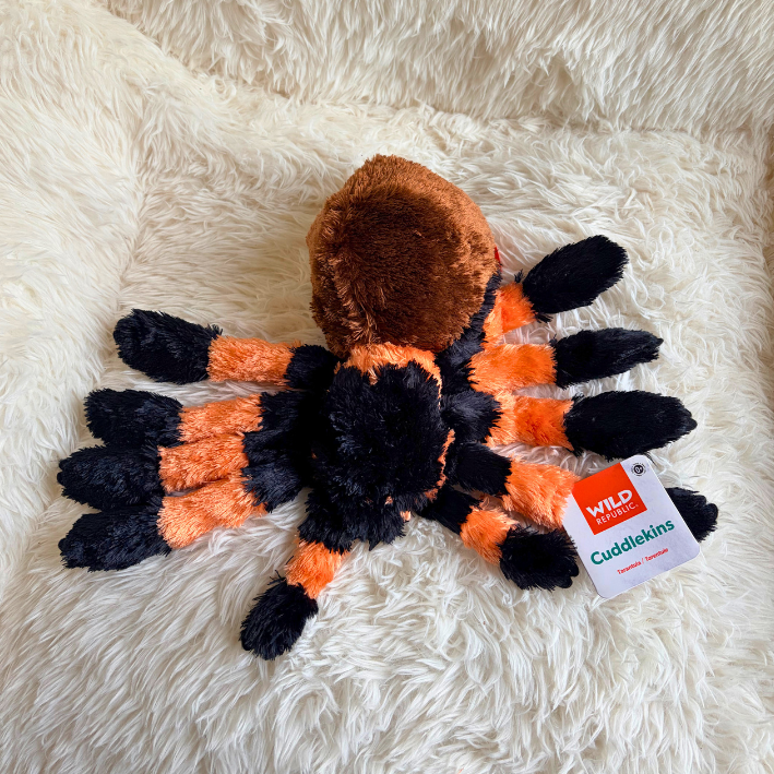 A plush spider toy with a brown body and black-and-orange striped legs, placed on a white faux-fur surface. A hangtag reading Wild Animals and Cuddlykins is attached near one leg.