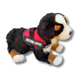 The Bernese Mountain dog wearing red emotional support vest