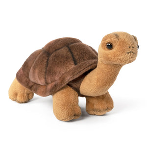 Plush turtle toy on a white background