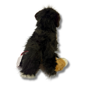 Trevor Bernese Mountain Dog back View