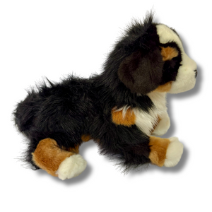 Trevor Bernese Mountain Dog side View