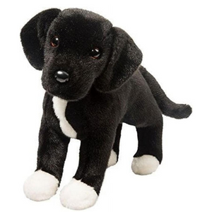 Black and white plush dog toy on a white background