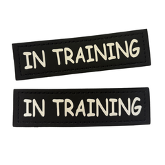 Velcro tag or dog vest - reads In Training