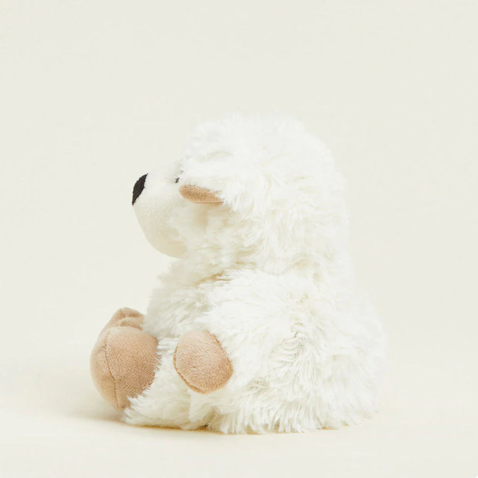 White teddy bear with brown paws on a light gray background