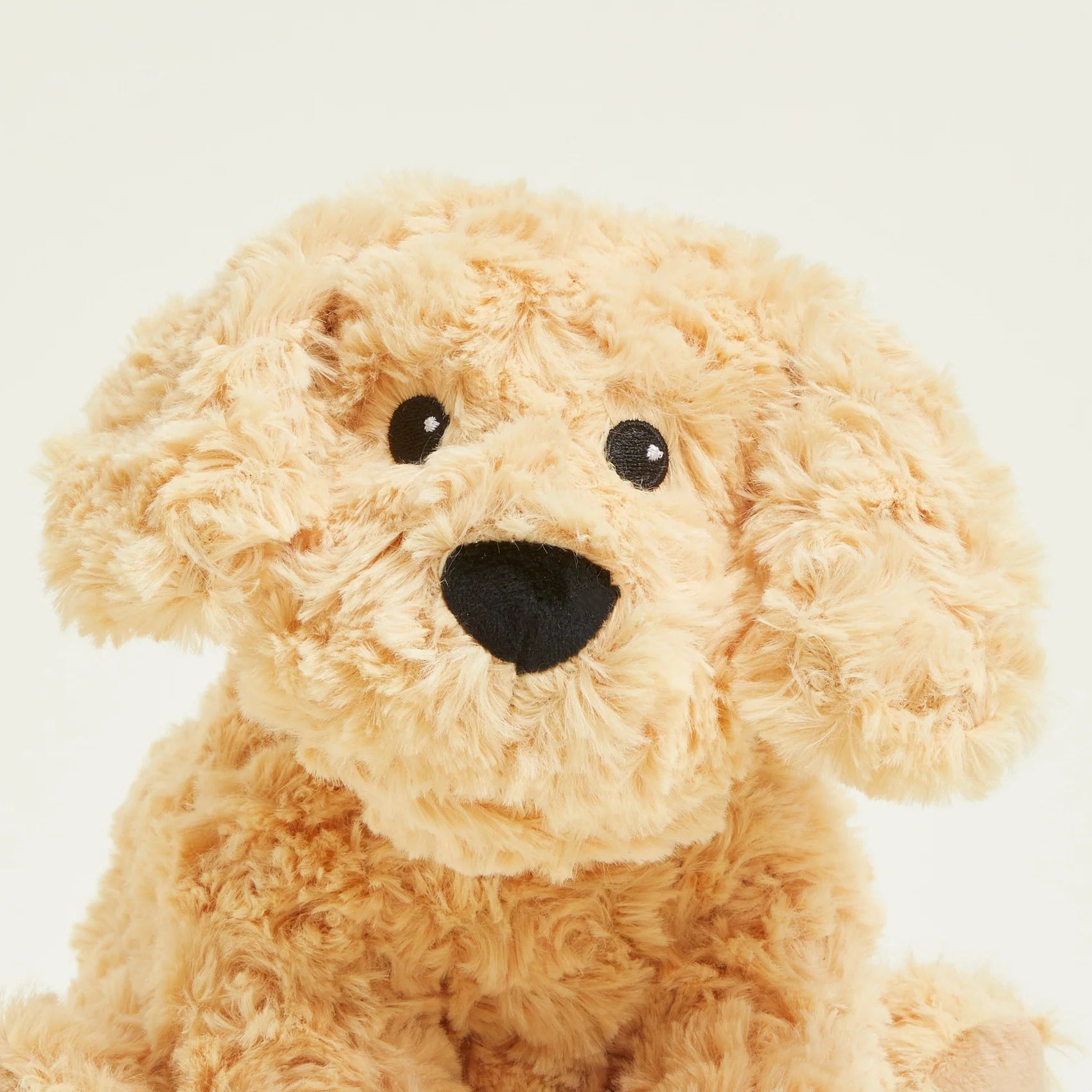 A close-up of a plush puppy toy with curly light tan fur, black eyes, and a black nose on a plain light background.