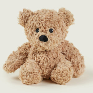 Brown teddy bear on a white background
