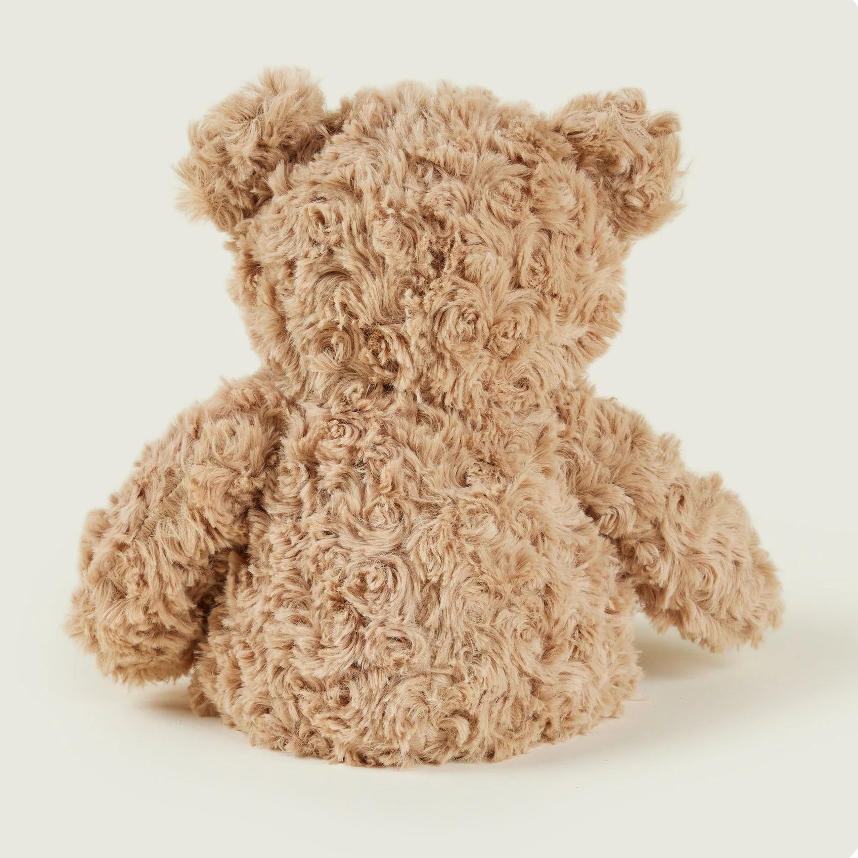 Brown teddy bear on a white background