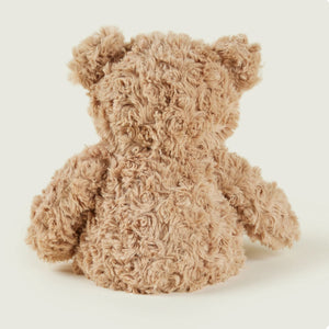 Brown teddy bear on a white background