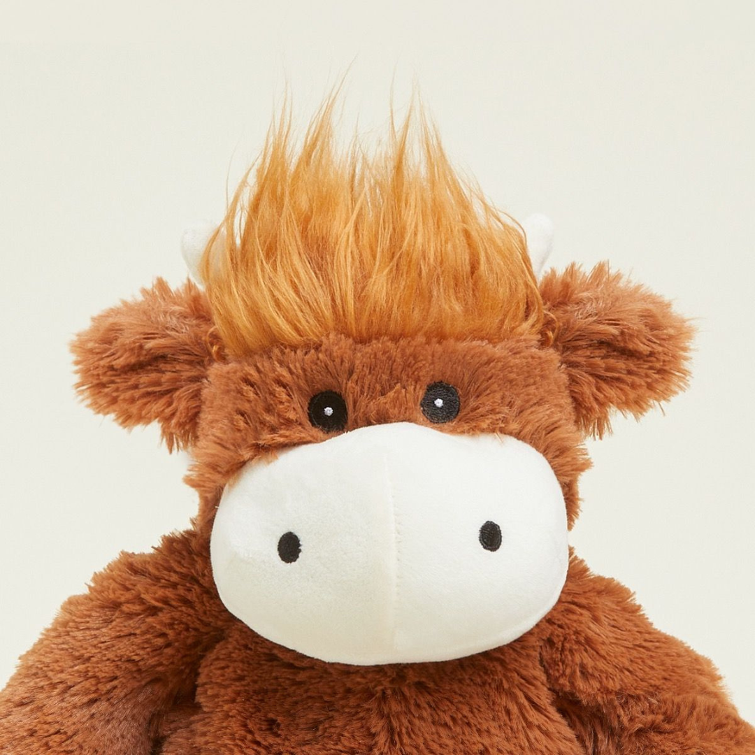 Brown plush toy with a white muzzle on a light beige background