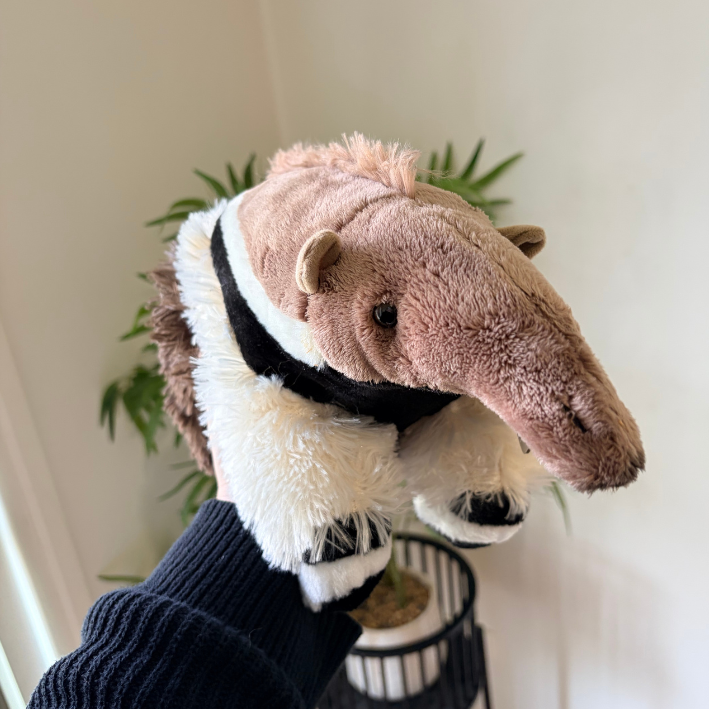 A plush armadillo toy being held up by a person wearing a dark navy knit sleeve, with a potted plant and cream-colored wall in the background.