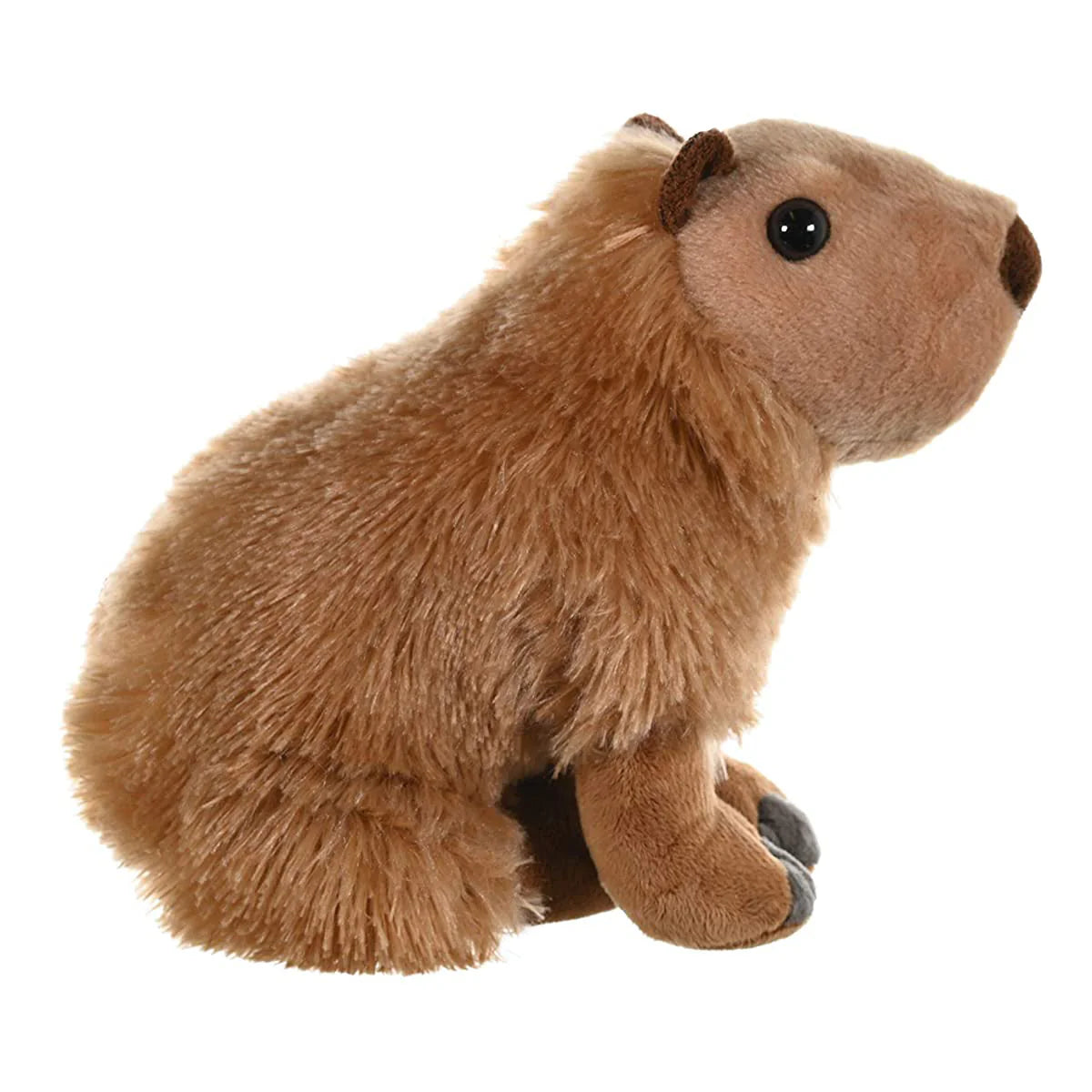 Plush toy beaver on a white background