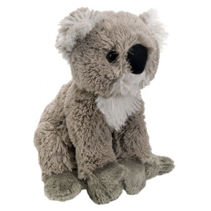 Plush toy koala on a white background