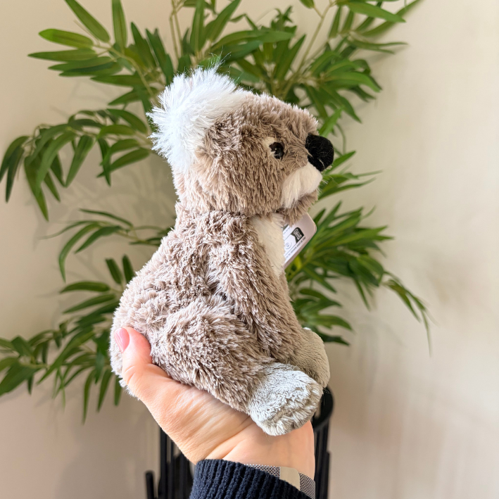 A small plush koala toy being held in a person's hand, with a real indoor plant and light wall in the background.