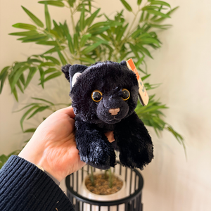 A hand holds a small black plush panther toy with large round eyes and a hangtag, in front of a potted green plant against a light beige wall.